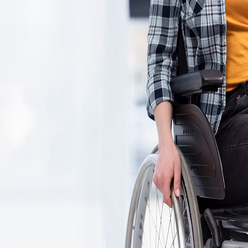 Consultorías sobre sistemas de apoyo para la toma de decisiones de personas con discapacidad
