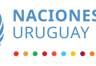 Declaración pública del Sistema de las Naciones Unidas en Uruguay acerca de la Ley Integral para Personas Trans en Uruguay
