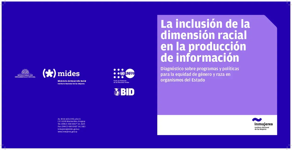 La inclusión de la dimensión racial en la producción de información. Diagnóstico sobre programas y políticas para la equidad de género y raza en organismos del Estado.